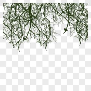 树枝绿色植物枝干倒影图片
