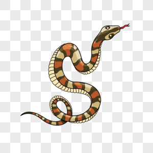 毒蛇色彩斑斓插画风格图片