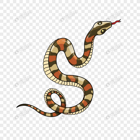 毒蛇色彩斑斓插画风格图片