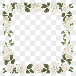 白玫瑰水彩方形边框图片