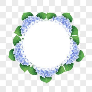 绣球花卉水彩蓝色蕾丝边框图片