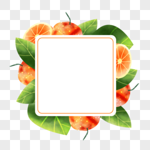 橙子水果水彩正方形边框图片