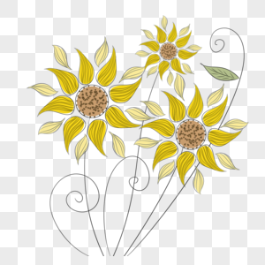花卉植物抽象黄色创意线稿高清图片