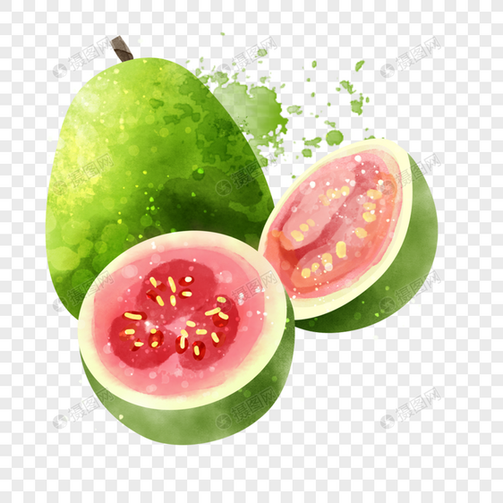 番石榴水彩水果营养丰富的食物图片