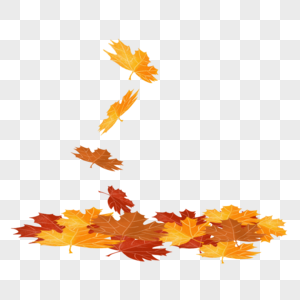 美丽的秋天落叶底边框图片