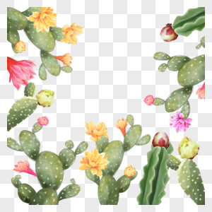 水彩仙人掌花朵植物边框图片