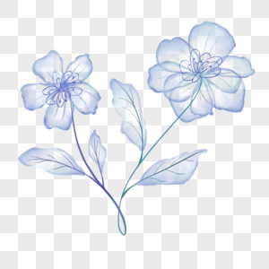 蓝紫色水彩透明花卉图片