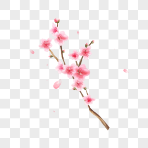 粉色桃花水彩花枝图片