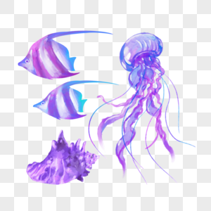 水彩海洋生物水母海螺图片