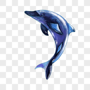 跳跃的蓝色水彩海豚图片