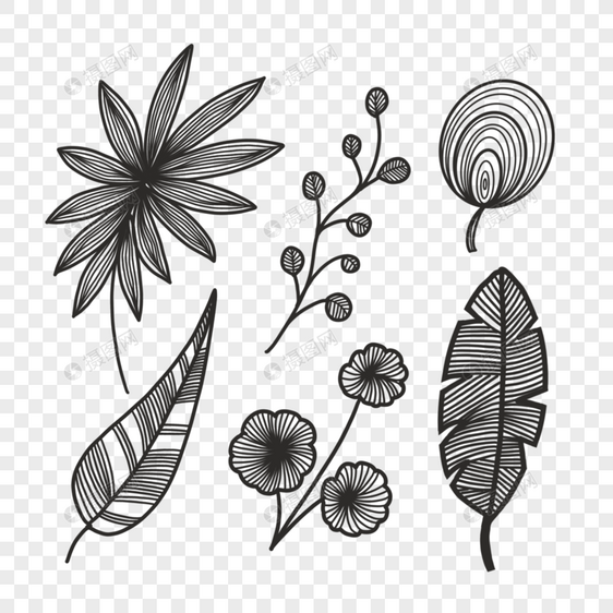 植物雕刻线条叶子图片