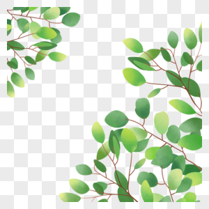浅绿色生机勃勃植物水彩尤加利叶边框图片