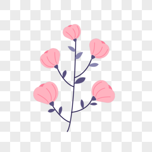 含苞待放的粉色花苞春天花朵图片