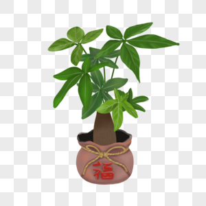 福字花盆室内植物盆栽图片