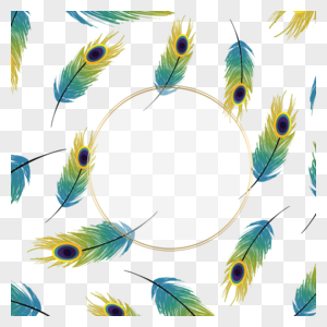 蓝黄色孔雀羽毛装饰图片