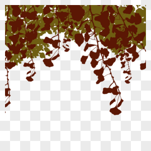 树枝秋季植物叶片倒影图片
