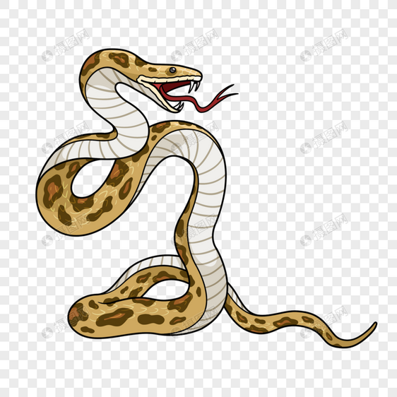花斑蛇插画风格黄色图片