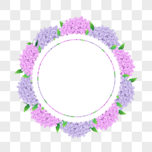绣球花卉水彩紫粉色边框图片