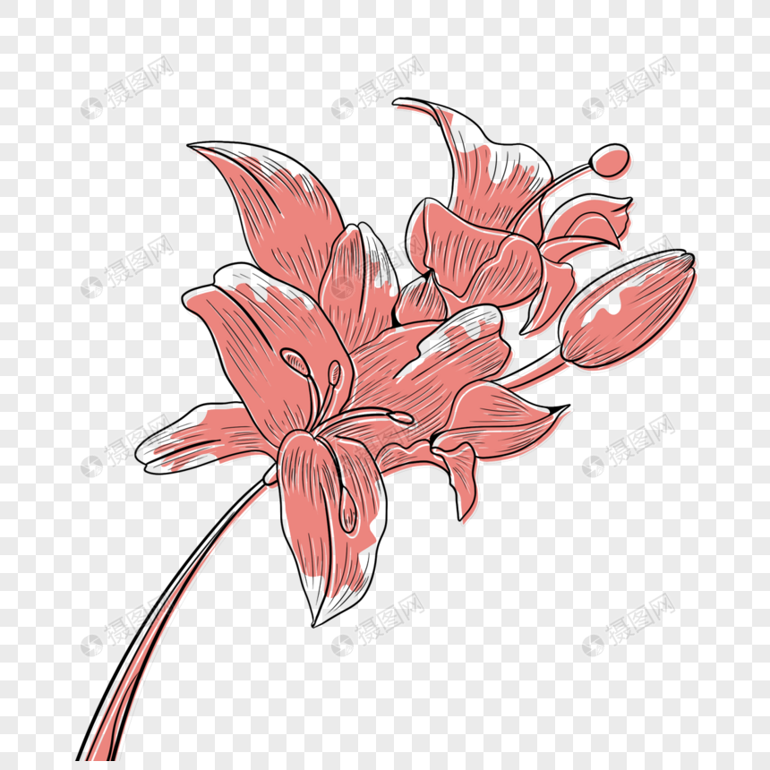 花卉抽象淡粉色线稿花朵装饰图片