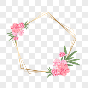 水彩夹竹桃花卉五边形线条边框高清图片