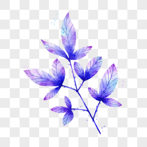 树叶植物复古篮紫水彩图片