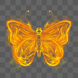 火焰昆虫蝴蝶图片