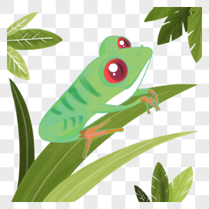 卡通可爱叶子上的红眼睛青蛙图片