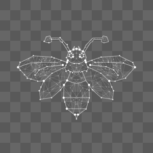 星光蝉线条光效动物图片