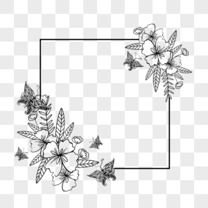 灰色水彩花瓣花卉光效蝴蝶边框图片