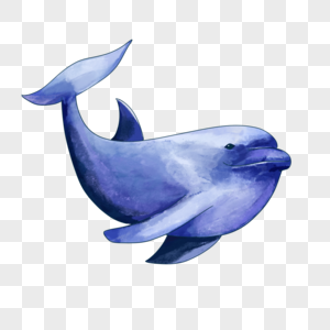 水彩可爱的蓝鲸图片
