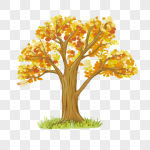 水彩风格秋天的一棵树图片