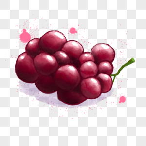 夏季水彩水果葡萄红提提子图片