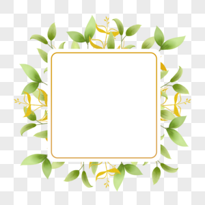 婚礼金枝树叶边框正方形植物图片