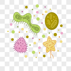 细菌微生物感染图像图片