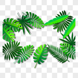 夏季热带植物边框图片