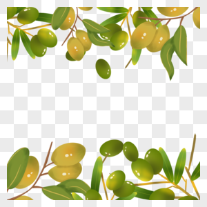 黄色橄榄创意边框图片