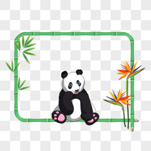 赏花的熊猫竹子花卉边框图片
