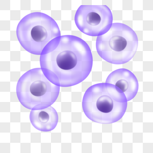 球形细胞圆形膜细胞紫色透明微观生物学图片