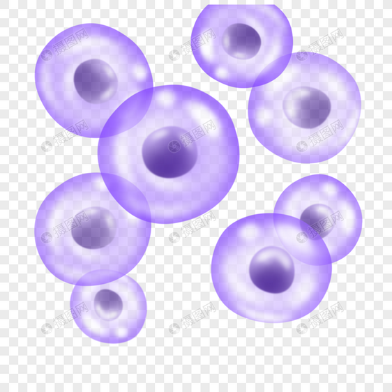球形细胞圆形膜细胞紫色透明微观生物学图片
