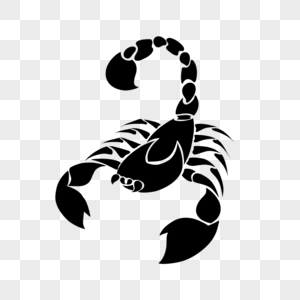 蝎子图案黑白纹身图片