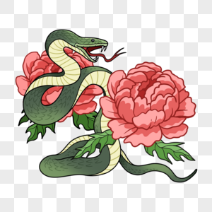 花与毒蛇插画风格墨绿色图片