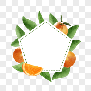 橙子水果水彩自然装饰边框图片
