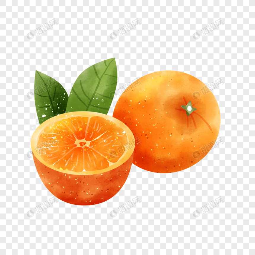 水彩风格水果橘子切开的果实和叶子图片