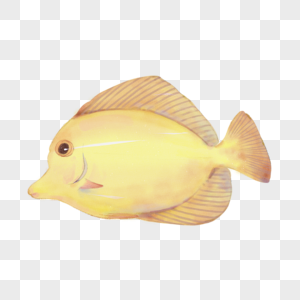 金黄卡通鱼水彩海洋生物图片