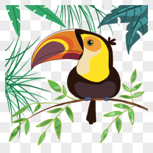 夏季卡通热带植物巨嘴鸟图片素材