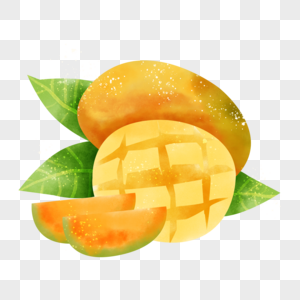 食物芒果水彩画热带水果图片