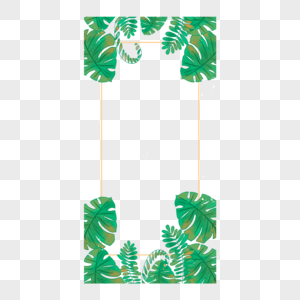 夏季热带棕榈绿色树叶边框图片