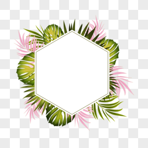 夏季热带植物棕榈叶叶子边框创意图片