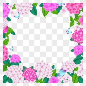 粉色水彩绣球花卉婚礼边框图片