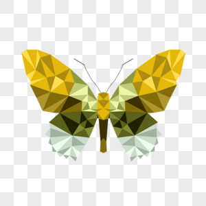 绿色几何风格多边形低聚彩色蝴蝶图片